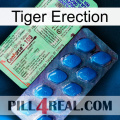 Tiger Erection new02